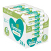 PAMPERS Sensitive Ubrousky vlhčené 24 balení = 1248 ks