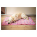 Vsepropejska Blonda hebká deka pro psa Barva: Oranžová, Rozměr (cm): 59 x 37