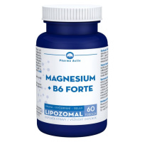Pharma Activ Lipozomal Magnesium + B6 Forte 60 tobolek