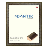 DANTIK rámeček 40 × 50, NEVIS zelený sklo čiré