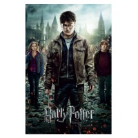 Plakát Harry Potter - Deathly Hallows Part 2 One Sheet (67)