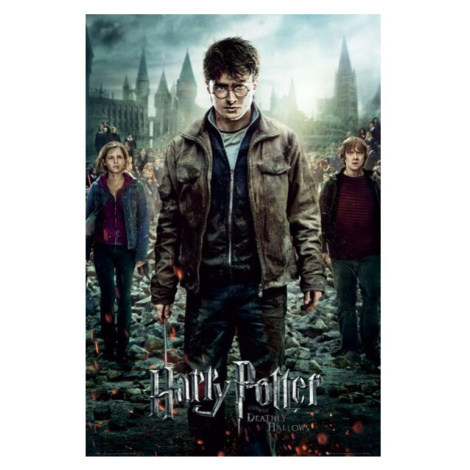 Plakát Harry Potter - Deathly Hallows Part 2 One Sheet (67) Europosters