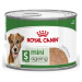 Royal Canin Mini Ageing Mousse - výhodné balení: 24 x 195 g