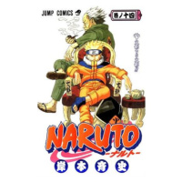 Naruto 14 - Souboj stínů