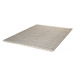 Obsession koberce Ručně tkaný kusový koberec JAIPUR 333 Silver - 80x150 cm