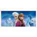 FTDN H 5370 AG Design dětská vliesová fototapeta na zeď panoramatická Frozen Anna & Elsa - ledov