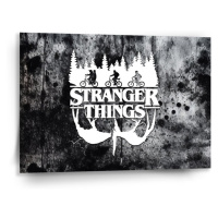 Sablio Obraz Stranger Things White - 90x60 cm