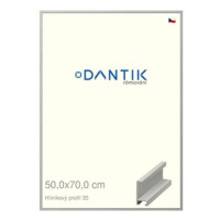 DANTIK rámeček 50 × 70, ALU profil 6035 Dýha barevný šedý plexi čiré