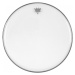 Remo Ambassador Clear 12"