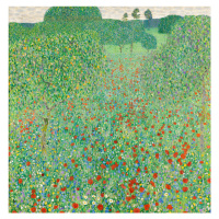 Obrazová reprodukce Blossoming poppies, Gustav Klimt, 40 × 40 cm