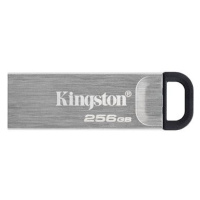 Kingston DataTraveler Kyson 256GB