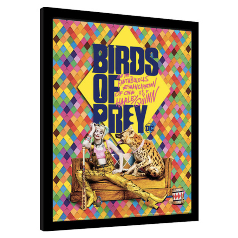Obraz na zeď - Birds Of Prey: Podivuhodná proměna Harley Quinn - Harley's Hyena, 30x40 cm Pyramid