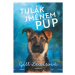 Tulák jménem Pup - Gill Lewisová