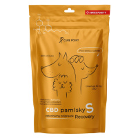 Cure Point CBD Pamlsky Recovery 100g - S (do 10kg)