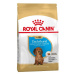 Royal Canin Jezevčík Puppy granule 1,5 kg