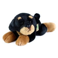 RAPPA Plyšový pes rotvajler ležící 30 cm, Eco-Friendly