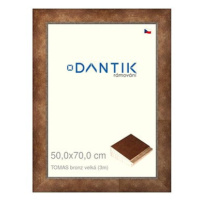 DANTIK rámeček 50 × 70, TOMAS bronz velký plexi čiré