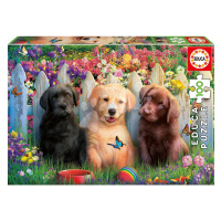 Puzzle Posing Puppies Educa 100 dílků od 6 let