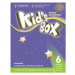 Kid´s Box 6 Activity Book with Online Resources,Updated 2nd Edition - Caroline Nixon