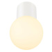BIG WHITE (SLV) VARYT stropní přisazené svítidlo, kulaté, 1x max. 6 W E14, bílá 1007606