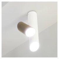 NEMO Stropní svítidlo Nemo Tubes LED dvoudílné bílé/šedé