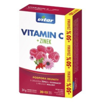 VITAR Vitamin C+zinek+echinacea+šípek tbl.30+15