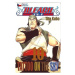 Bleach 10 (Tattoo on the Sky) - Tite Kubo - kniha z kategorie Komiksy