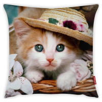 Povlak na polštář Vitaus Cute Kitten, 43 x 43 cm