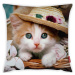 Povlak na polštář Vitaus Cute Kitten, 43 x 43 cm