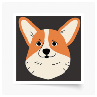 Plakát, Corgi, 50x50