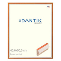 DANTIK rámeček 40 × 50, EVOQUE oranžový sklo čiré