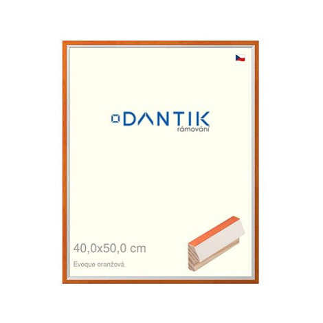 DANTIK rámeček 40 × 50, EVOQUE oranžový sklo čiré