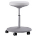 bimos Pracovní stolička pro laboratoře, rozsah přestavování výšky 460 - 650 mm, čaloun sedáku z 
