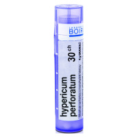 Boiron Hypericum perforatum CH30 4 g