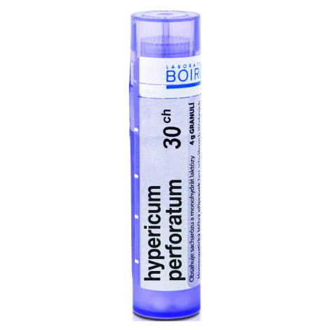 Boiron Hypericum perforatum CH30 4 g