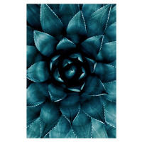 Fotografie Cactus No 9, Kubistika, (26.7 x 40 cm)