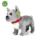 Rappa Plyšový pes buldoček šedý 30cm Eco Friendly