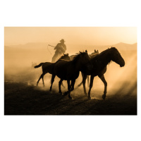 Fotografie Run between horses, Corinne Spector, 40 × 26.7 cm