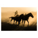 Fotografie Run between horses, Corinne Spector, (40 x 26.7 cm)