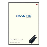 DANTIK rámeček 50 × 70, ALU profil 7269 Šedý Oplal broušený plexi čiré