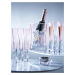 Sklenice na šampaňské Moya, 170 ml, růžová, set 2 ks - LSA International