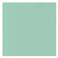 PAW - Ubrousky AIRLAID 40x40 cm Monocolor (mint)