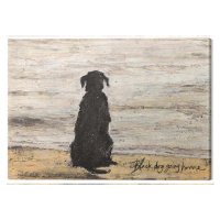 Obraz na plátně Sam Toft - Black Dog Going Home, (30 x 40 cm)