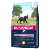 Eukanuba Puppy Large Breed kuřecí - výhodné balení: 2 x 3 kg