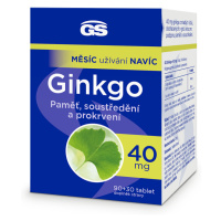 GS Ginkgo 40 mg, 90+30 tablet