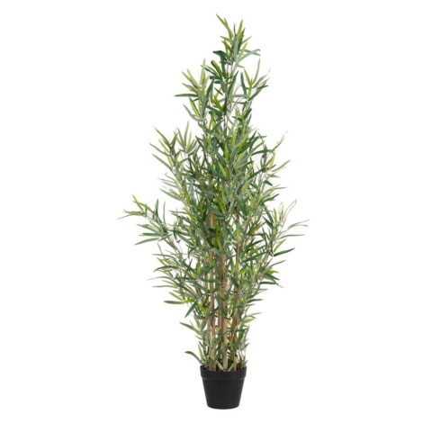 Umělý bambus (výška 120 cm) Bamboo – Ixia