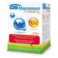 GS Magnesium + vitamin B6 (100tbl/kra)
