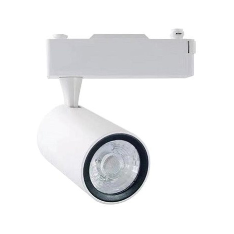 LED Bodové svítidlo do lištového systému TRACK LIGHT LED/12W/230V 4000K bílá Donoci