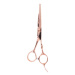 Eurostil ISIS Cutting Scissors 6&quot; - profesionální nůžky, pravá ruka 07023/70 - Rose Gold