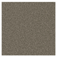 ITC Metrážový koberec Fortuna 7820, zátěžový - S obšitím cm